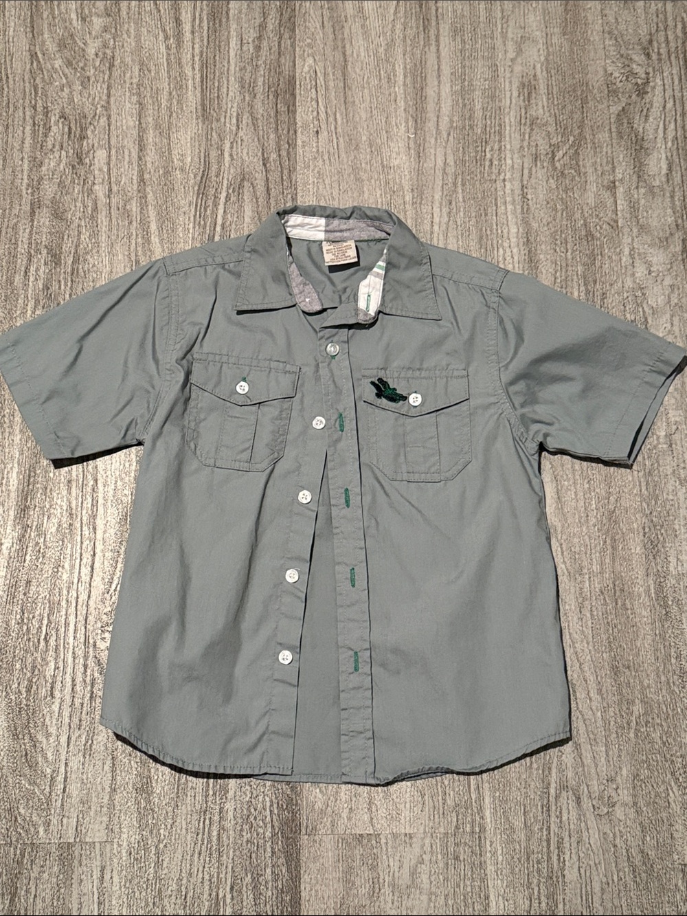 Tony Hawk Men's Short-Sleeve Button-Down Shirt - Light Sage Green